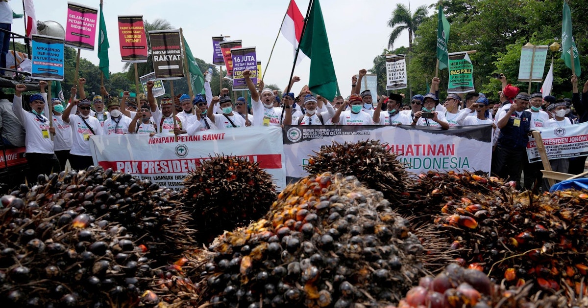 Nestlé berhenti membeli minyak sawit dari Indonesia Nestlé berhenti membeli minyak sawit dari Indonesia