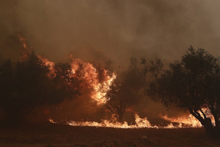 Feuerhölle in Griechenland: Mindestens 20 Menschen sterben bei Waldbränden