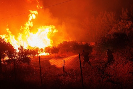 Waldbrände in Griechenland: Flammen verschlingen Dorf Dikella 