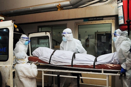 Nipah-Virus in Indien ausgebrochen: Zwei Tote, öffentliches Leben eingeschränkt