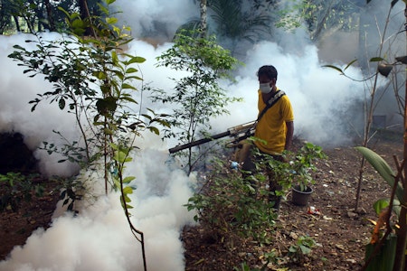 Denguefieber-Ausbruch in Bangladesch: Bereits über 1000 Tote