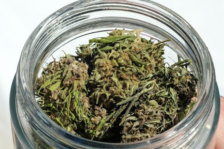 Ampel: Cannabis-Legalisierung zum 1. April - Clubs ab Juli