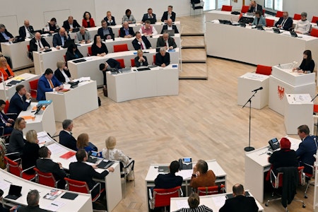Kliniken und Haasenburg-Opfer beschäftigen Landtag