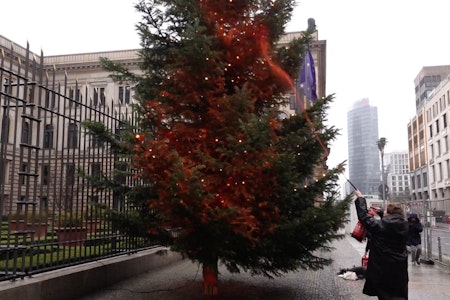 Nach Farbattacke der Letzten Generation: Weihnachtsbaum vor dem Bundesrat wieder sauber