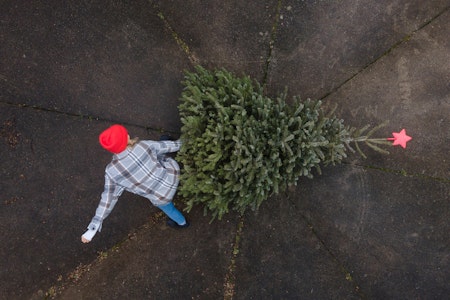 Weihnachtsbaum – Tipps zur Entsorgung: Verheizen, kompostieren? Und nächstes Jahr lieber mieten?