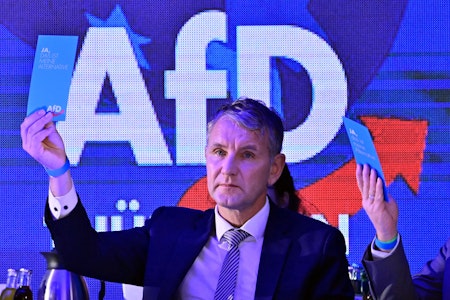 Stopp der Parteienfinanzierung: Kann das Urteil gegen die NPD auch auf die AfD übertragen werden?
