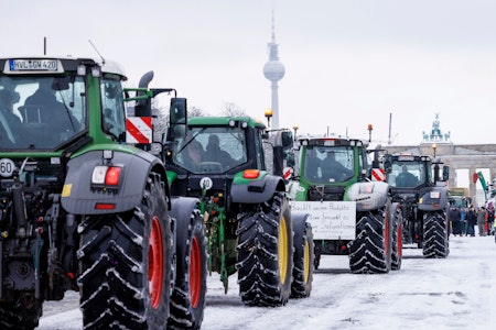 Bauernproteste in Berlin: So berichten Medien in Polen, Russland und den Niederlanden darüber