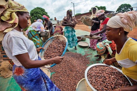 Lieferkettengesetz und Fairtrade: „Viele Siegel sind nur Beruhigungspillen“ – Interview