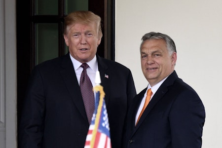 Orbán und Trump diskutieren Ukraine-Frieden in Miami-Treffen