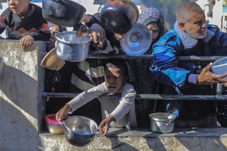 Krieg und Hungersnot in Gaza: Die Menschen essen Blumen und „alle Arten von Tieren“