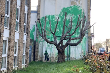 Banksy-Werk in London aufgetaucht? Neues Graffito vor Baum sorgt für Aufruhr