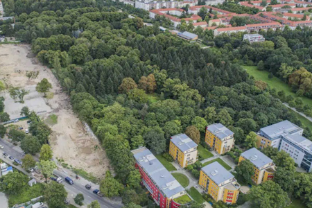 Emmaus-Kirchhof: Senat will Neuköllns größten Wald roden – Anwohner protestieren
