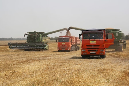 EU plant hohe Zölle für russisches Getreide