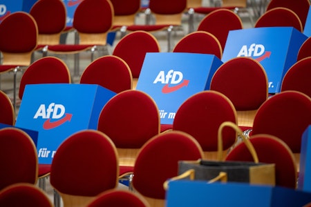 Landtagswahl Brandenburg: AfD bleibt in Umfrage vorn, SPD legt zu