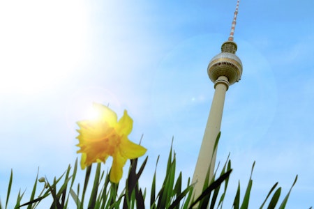 Wetter in Berlin: Wochenende wird warm, nächste Woche kälter