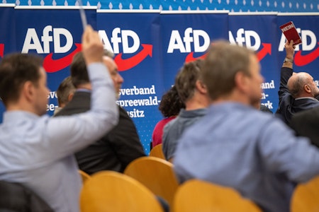 AfD in Brandenburg: Weitere Abgeordnete als rechtsextrem eingestuft