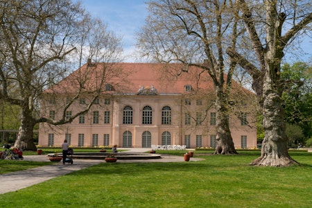 Rundgang in Pankow: Wie sich der Klimawandel auf den Schlosspark Schönhausen auswirkt