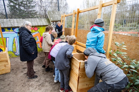 Marzahn-Hellersdorf ruft Schulen im Bezirk zu Gartenwettbewerb 2024 auf