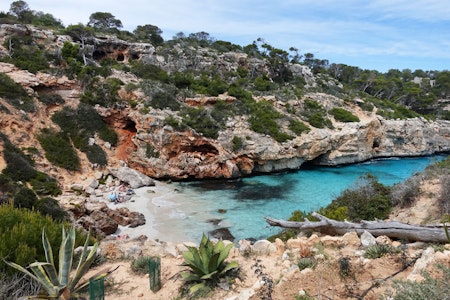 Demo auf Mallorca gegen Tourismus: Einheimische besetzen Strand