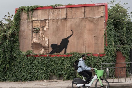 Banksy Nummer 6 ist eine Katze: Das steckt hinter den Tierbildern