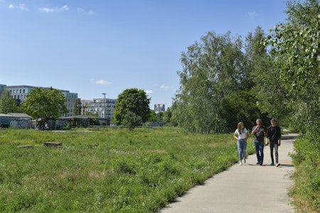 Berlin-Mitte am Sonntag: Exkursion zu Flora und Fauna im ehemalige Grenzgebiet