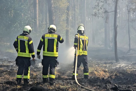 Großbrand im Wald in Südbrandenburg: „Die Lage ist dramatisch“