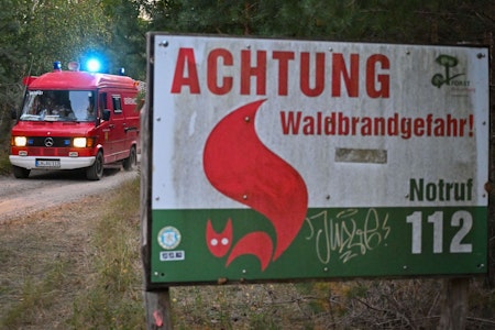 Waldbrand in Luckenwalde in Brandenburg: Feuerwehr besorgt - Gefahr hoch