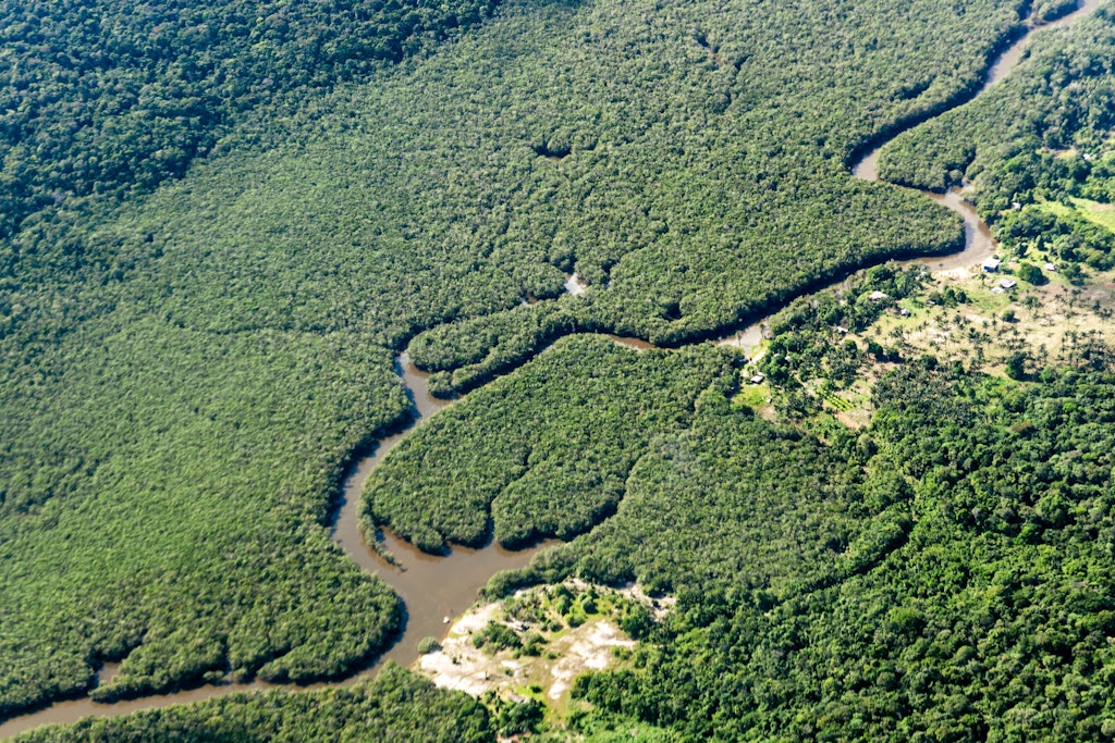 Neue Studie: Amazonas hat Fläche von der Größe Deutschlands und Frankreichs verloren