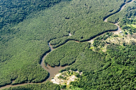 Neue Studie: Amazonas hat Fläche von der Größe Deutschlands und Frankreichs verloren