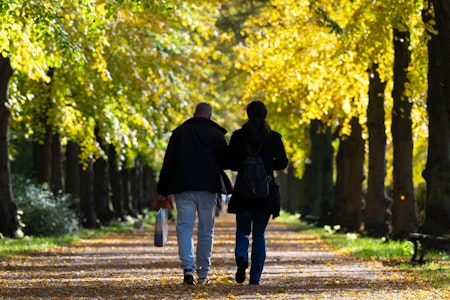 Wetter in Berlin aktuell: Heute wird es herbstlich warm