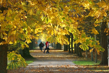 Wetter in Berlin aktuell: Sonnig und klar, Temperaturen bis 18 Grad