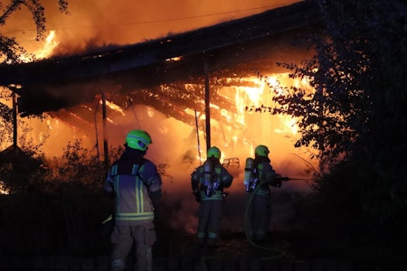 Brand im Britzer Garten: Freilandlabor stürzt bei Feuer ein - Schaden