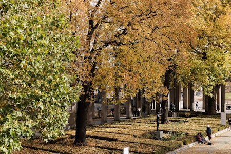 Wetter in Berlin im Oktober: Hauptstadt war zu warm und zu trocken