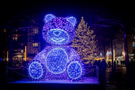 Dresden: Bizarrer Streit um Weihnachts-Teddybär von Ex-FDP-Politiker