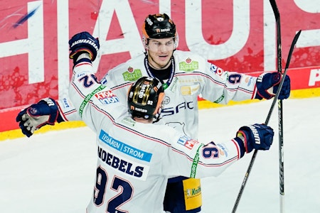 Eisbären Berlin gewinnen 5:2 gegen die Löwen Frankfurt