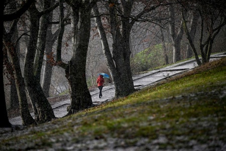 Wetter in Berlin aktuell: Sturm, Schnee und Glätte - Warnung