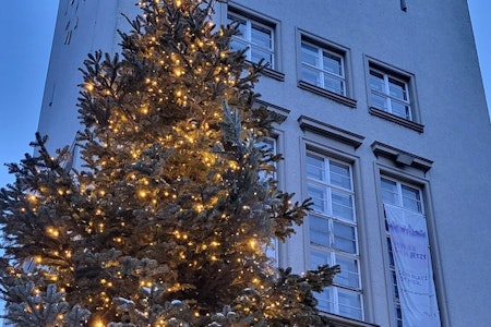 Tempelhof-Schöneberg: An diesem Tag werden die Rathaus-Weihnachtsbäume erleuchtet