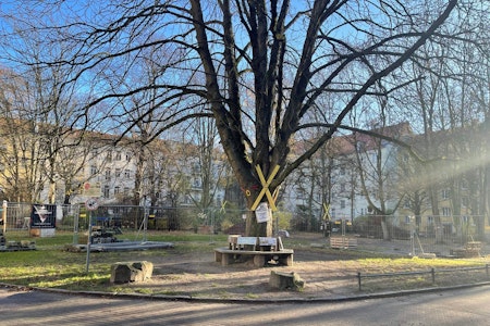 Anwohner am Schlosspark in Pankow schlagen Alarm: „Wir trauen der Gesobau nicht“