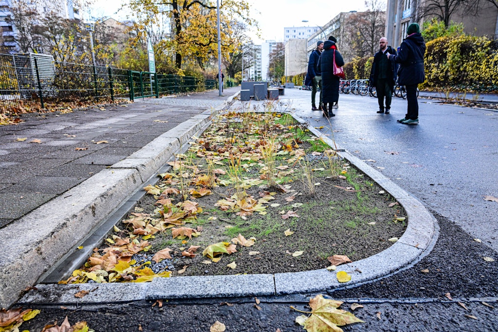 Berlin-Mitte: Fünf Grüne Gullys für Entsiegelung eingeführt