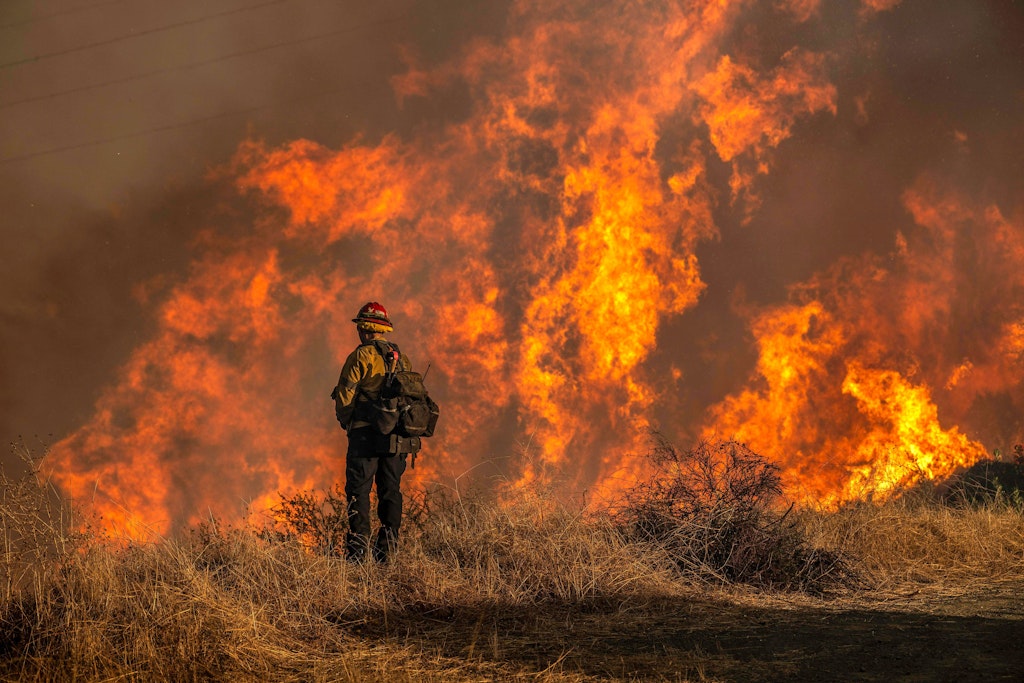 US-Klimaaktivist über die Brände in Los Angeles: „Feuer gehören zu Kalifornien“