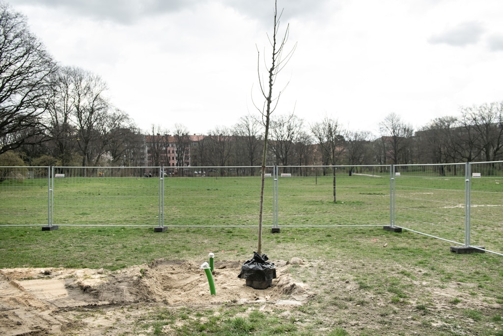 Neukölln: Neuer Bauabschnitt in der Hasenheide – das ändert sich