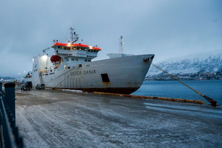 Ostseekabel beschädigt: Norwegens Polizei untersucht Schiff „Silver Dania“ mit russischer Crew