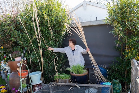 Traumhaus mit Garten für 100 Euro im Jahr: Die übergroßen Lauben in Berlins Kleingärten