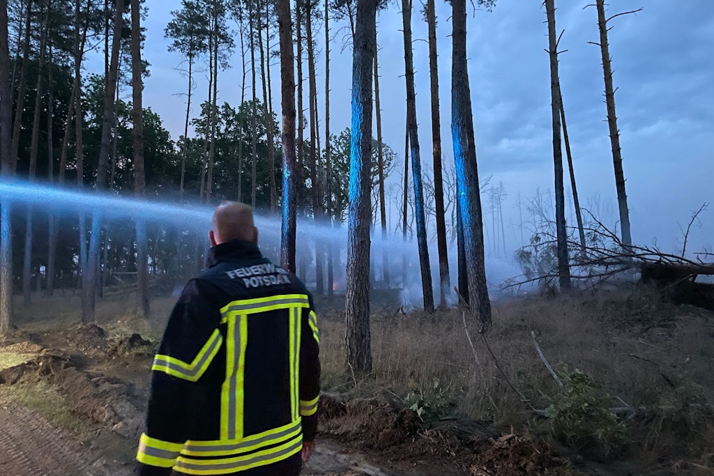 Neue Woche wird sonnig – auch in Berlin steigt jetzt die Waldbrandgefahr