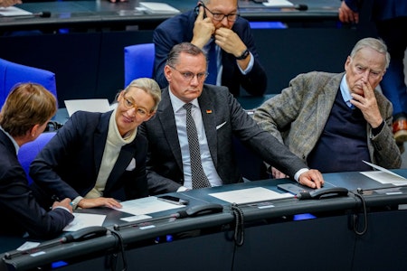 Debatte: Warum Menschen die AfD wählen