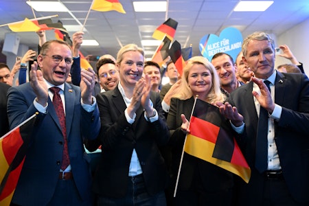 Linke und Grüne in Berlin: Der Senat soll sich für ein AfD-Verbot einsetzen