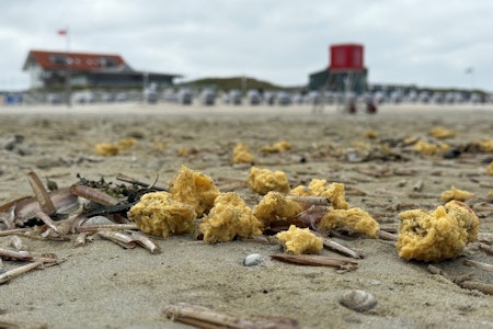 Fähre Borkum