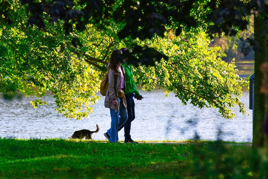 Berliner Initiative „Baumentscheid“ zulässig: Eine Million neue Bäume für Berlin