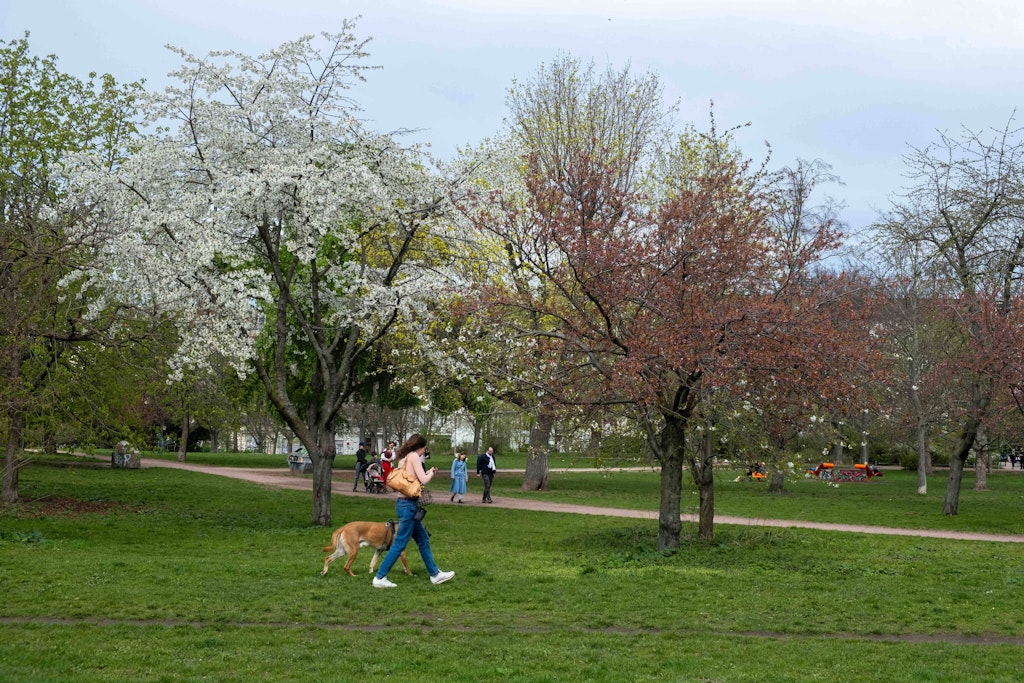 Pankow: Neue Sport- und Erholungsorte am Mauerpark fertiggestellt