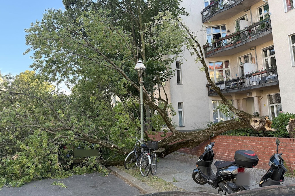 „Lebensgefahr“ in Berlin: Darauf müssen Sie nach dem Sturm achten
